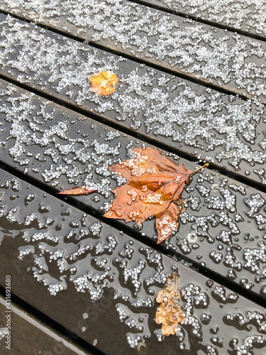 Hail and leaves on wood deck, Melbourne Australia