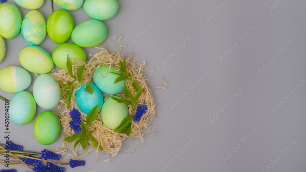 Easter eggs in a nest with blue spring flowers, blue and green Easter eggs on a gray background Easter eggs in a nest with blue spring flowers, blue and green Easter eggs on a gray background