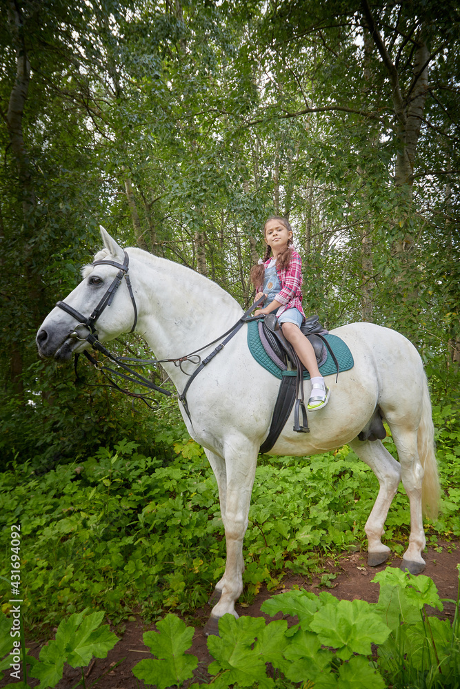 A teenage girl and a horse in nature among green trees