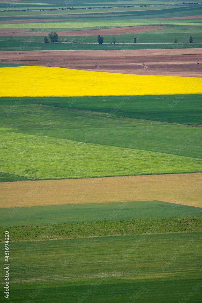 Obraz premium Aerial photo of a fertile cultivated field in bloom during spring season