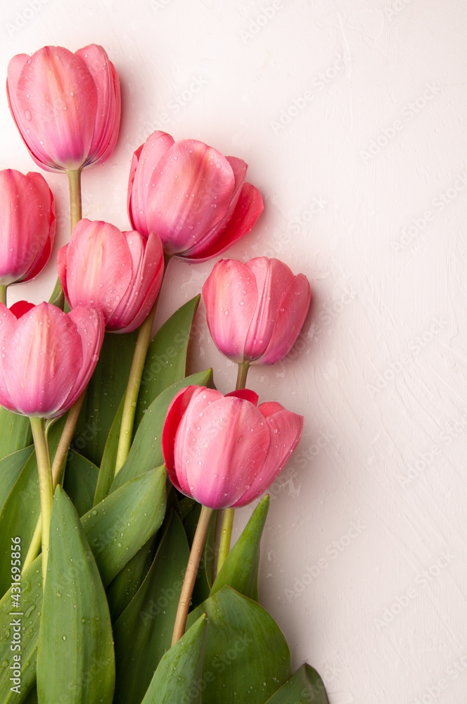 Fototapeta premium pink tulips on a table