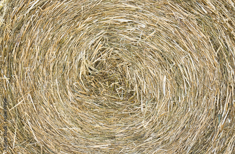 Texture of hay stack, closeup natural background Texture of hay stack, closeup natural background