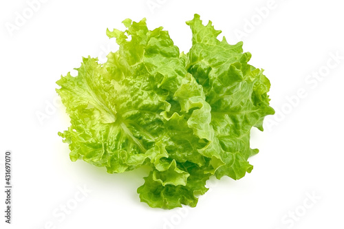 Lettuce Salad leaf, isolated on white background. High resolution image