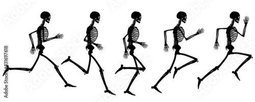 Silhouette View Of the Running Cycle Of Human Skeleton Vector Drawing