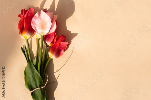 Pink tulips bouquet wallpaper flat lay. Copy space. Colorful flowers greeting card