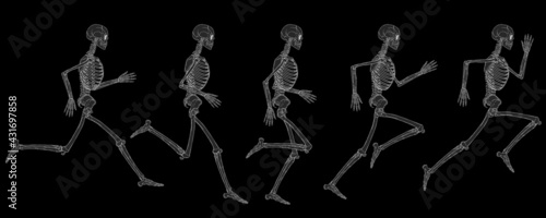 X-Ray View Of the Running Cycle Of Human Skeleton Vector Drawing