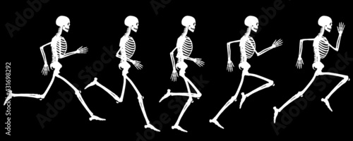 White Silhouette View Of the Running Cycle Of Human Skeleton Vector Drawing