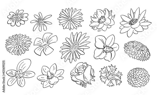 Flowers Set, Sketchy Cartoon Hand Drawing, Black and White
