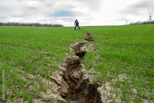 Rift on the green field, rural lanscape with wheat field