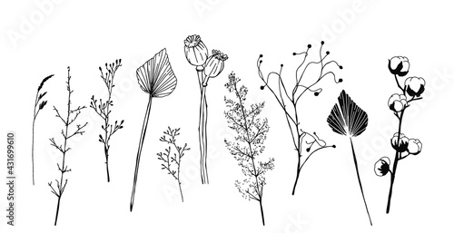 Set of minimalistic dried plants, flowers and leaves. Scandinavian hygge vector elements of interior
