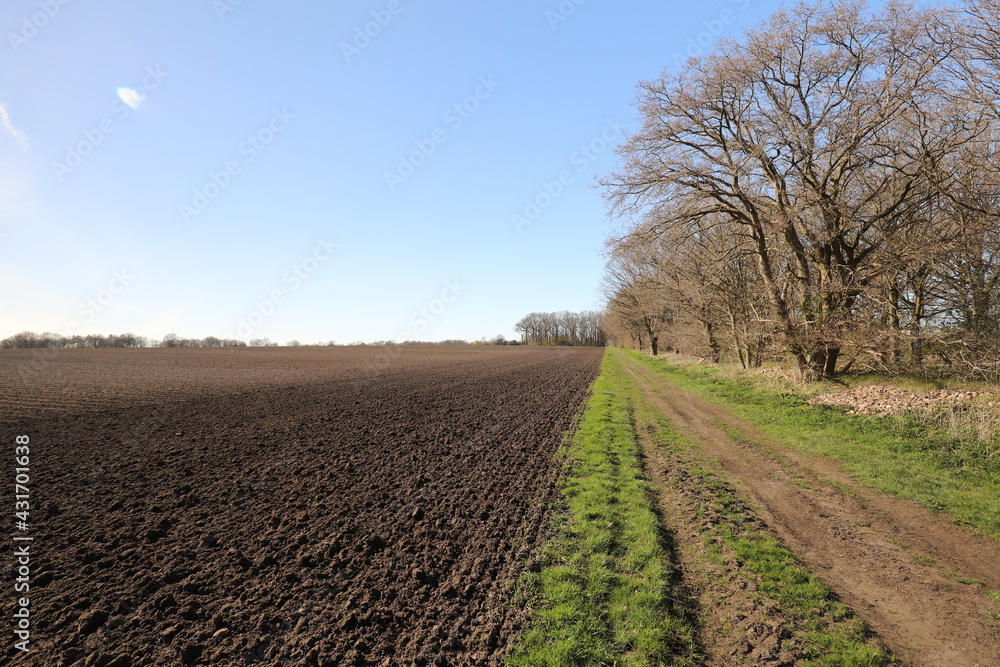 Wide view of spacious Dutch agricultural fields in the early spring.