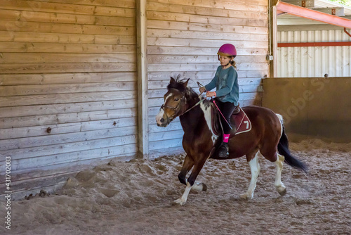 portrait of a young and pretty rider on her pony