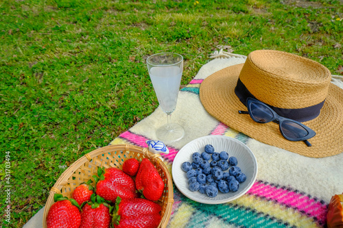 Summer picnic in park. Blueberries on plate close-up on checkered plaid, plate with strawberries, vintage wine glass with beverage, straw hat, sunglasses across green grass.