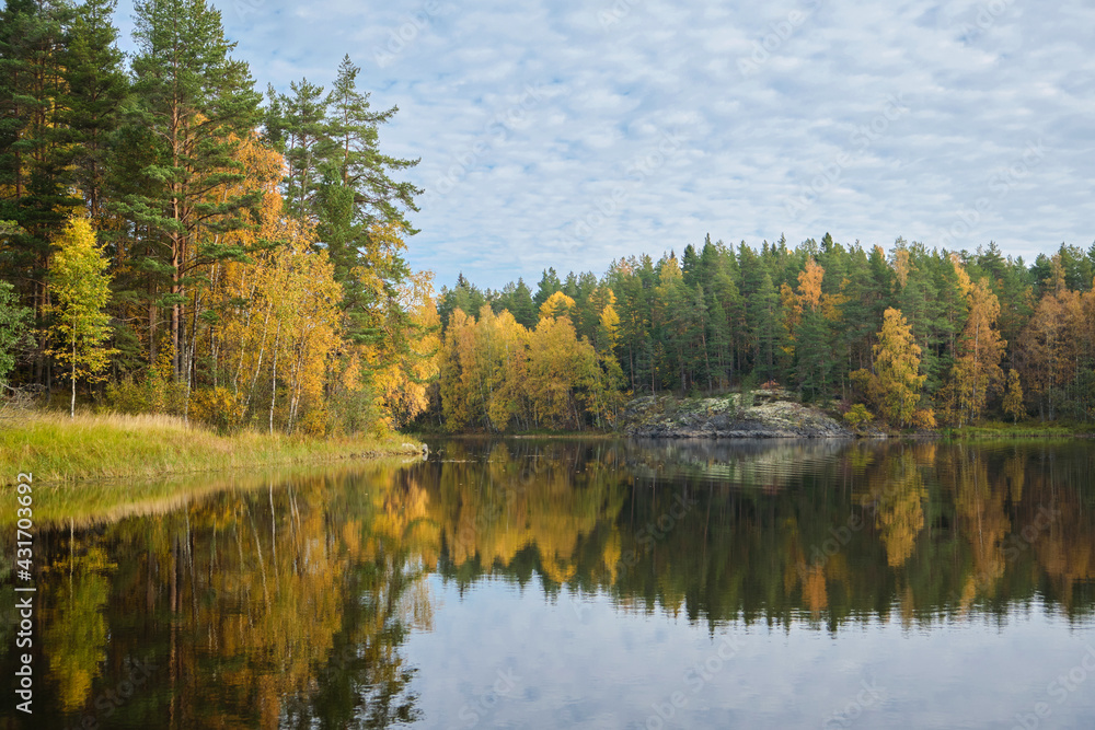 Autumn forest on Ladoga skerries, Karelia. Traveling in Russia. Northern nature.