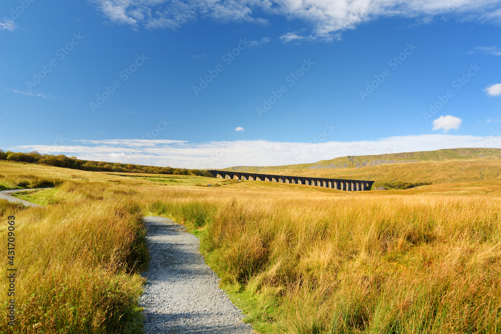 Fototapeta premium Ribblehead viaduct, located in North Yorkshire, the longest and the third tallest structure on the Settle-Carlisle line.
