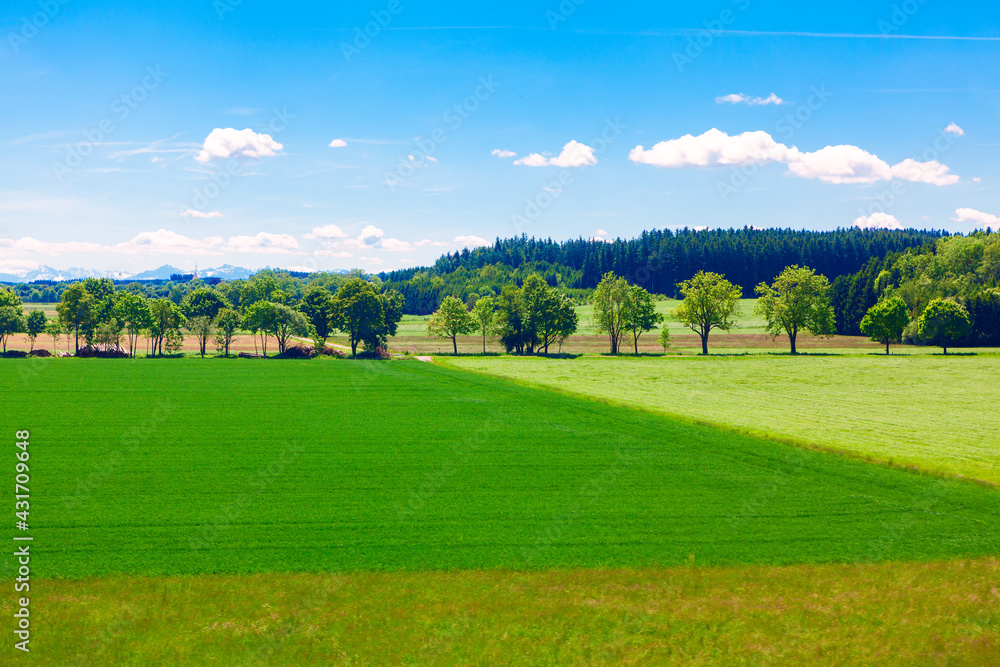 Green agricultural fields in Germany . Springtime plantation .  Area of land used for agricultural purposes