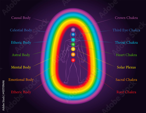 Aura bodies. The seven layers of a meditating man with related chakras in the same colors. Etheric, emotional, mental, astral, celestial and causal layer. Labeled vector illustration chart.
