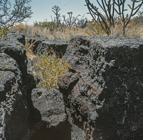 Valley of fire New Mexico. The Carrizozo Malpais large lava flow west side of Carrizozo. Pumice stone in the desert. USA 1990. photo