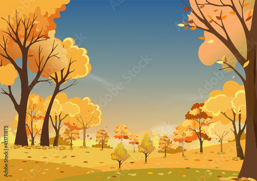 Autumn landscapes of Countryside in evening Sunset with morning sky Panoramic of mid autumn in farm field  wild forest with leaves falling from tree in orange foliage. Wonderland in fall season