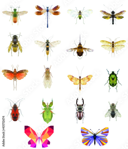 Set of insects on a white background © Naem