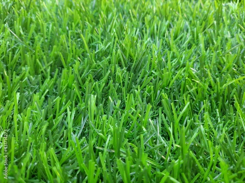 Artificial green color grass can be used in background