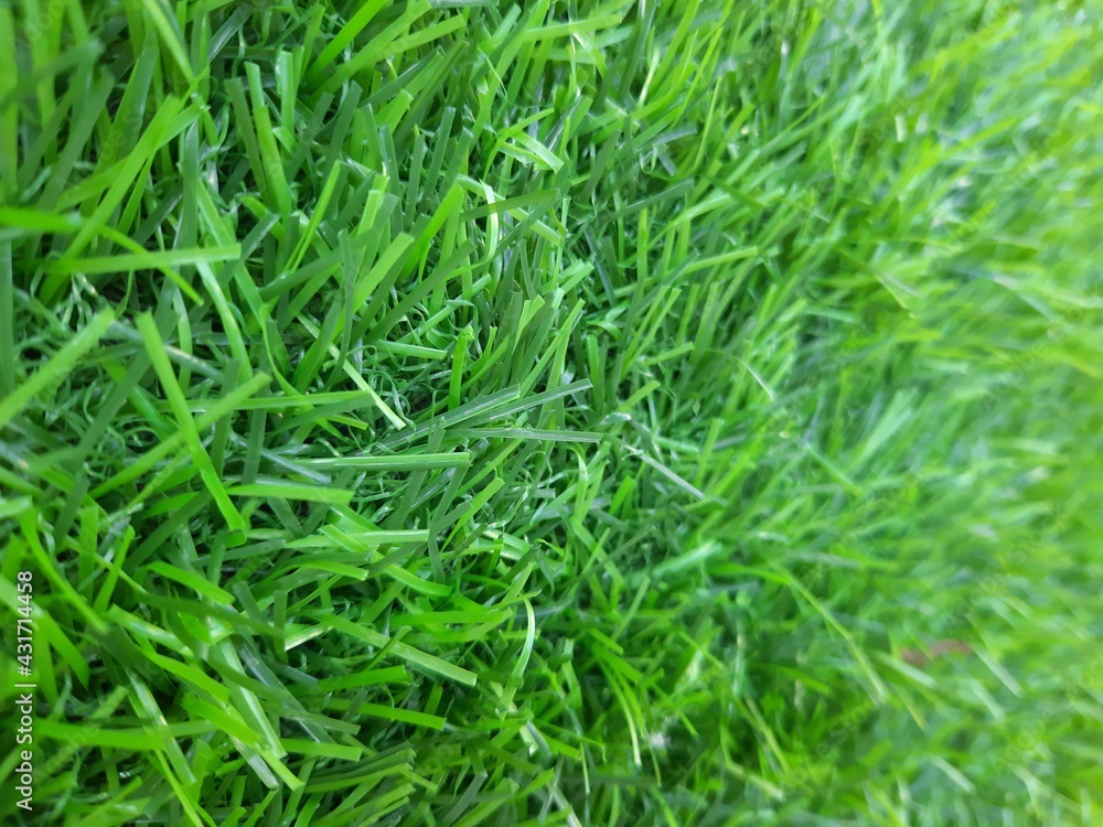 Artificial green color grass can be used in background Artificial green color grass can be used in background