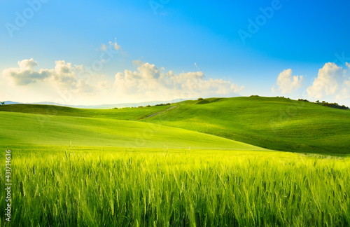 art springtime rural landscape. Springfield and blue sky panorama