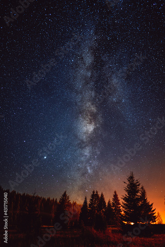 Night sky with the Milky Way over the forest © kerkezz