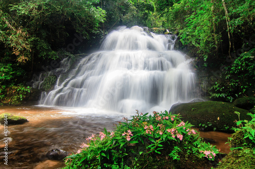 Man Dang Waterfall, Phuhinrongkla National Park, Petchaboon Province, Thailand, in Rainy season,Snapdragon flowers