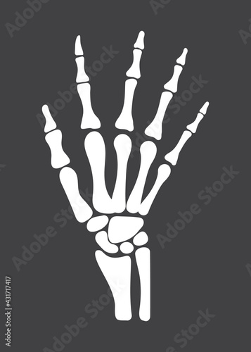 Arm icon of radiography and x-ray concept vector for landing page. Trauma, pain, osteoporosis
