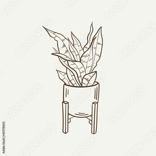 Home decor line art drawing. Doodle illustration. Stay home. Minimal vintage style. Doodle plant vector illustration. Pure nature organic brush. Line drawing. Eco product emblem.
