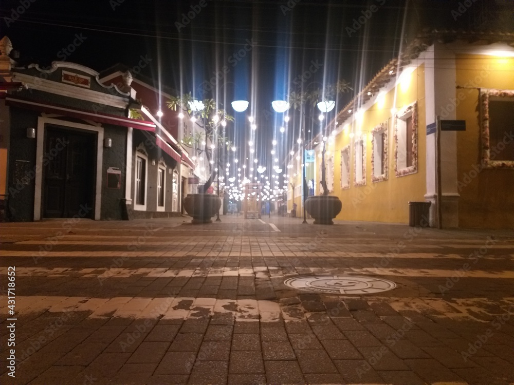 Fototapeta premium The alley