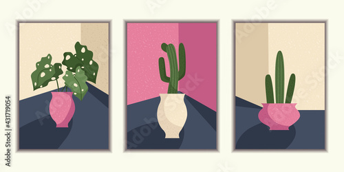Collection of fashion posters with still life. Plants in pots. Vector illustration.