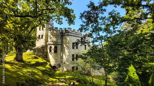 castle in the forest