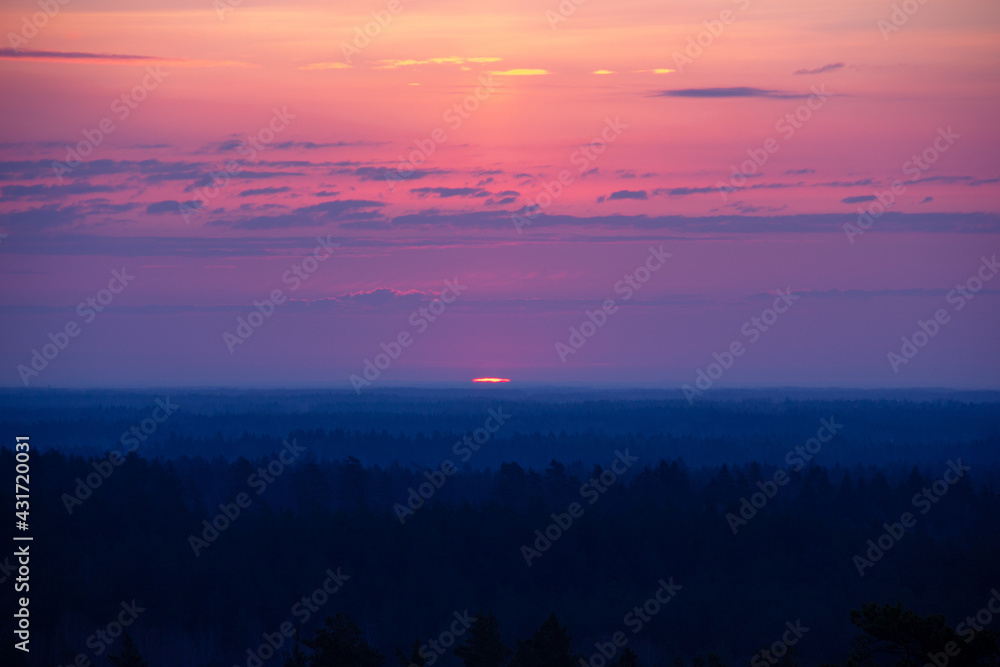 Fototapeta premium Beautiful sunrise above a top of trees