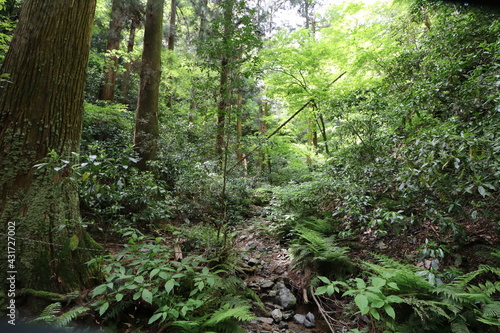 高尾山の6号路の登山と高尾山口駅