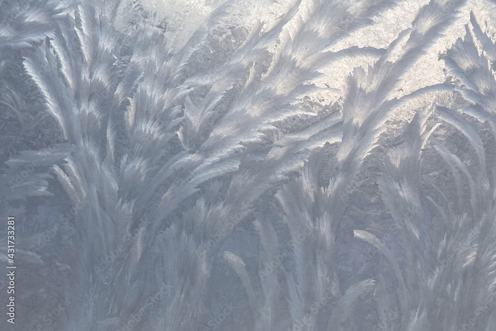 Obraz premium frost on the window