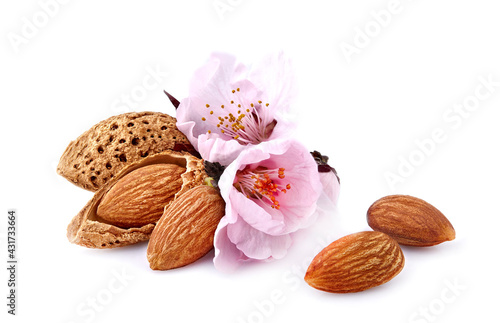 Almonds with blossom in closeup isolated on white background. Nuts isolated.
