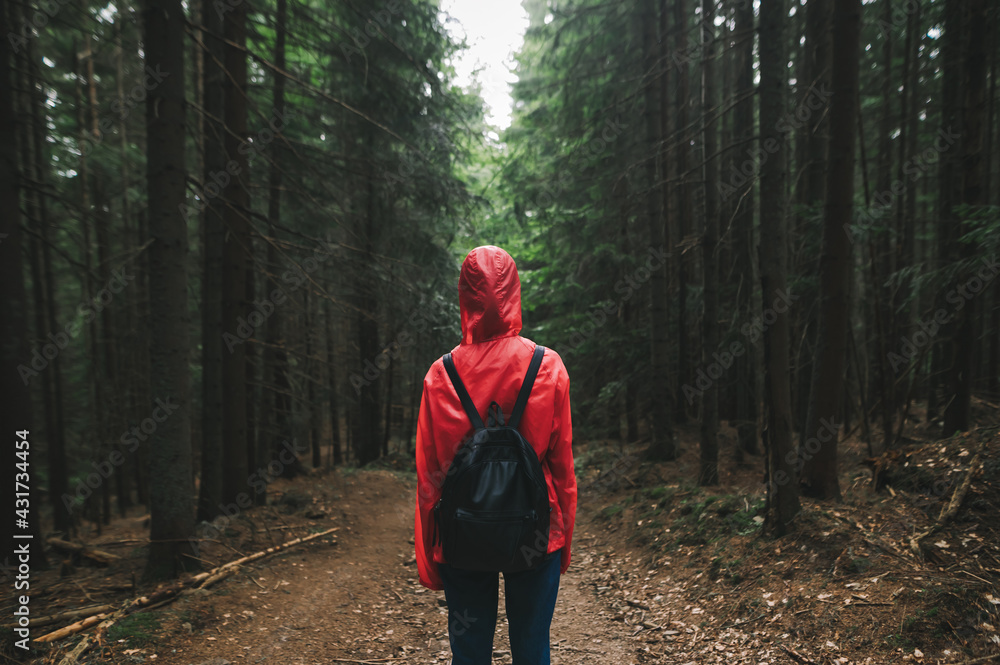 Hiker woman in red raincoat and backpack stands on a path in mountain forest and looks forward, rear view. Girl in the raincoat walks through the dark forest. Background. Copy space
