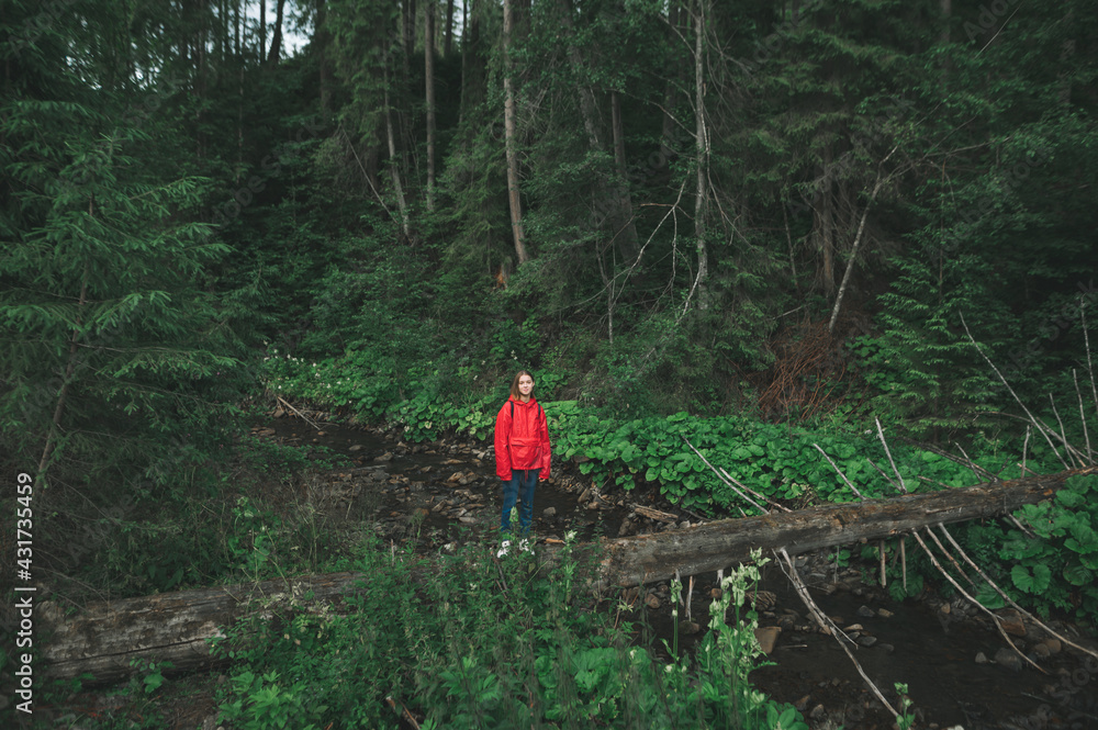 Woman in a red raincoat stands on a trunk of a fallen tree above a stream and looks in camera, hiking in mountains. Hiker in forest posing on camera, minimal photo. Man in the bosom of nature. Woman in a red raincoat stands on a trunk of a fallen tree above a stream and looks in camera, hiking in mountains. Hiker in forest posing on camera, minimal photo. Man in the bosom of nature.