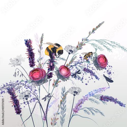 Beautiful floral vector illustration vintage style bees, bumblebee and lavender