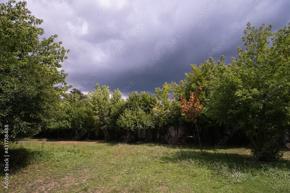 Black rain clouds gather quickly over the orchard