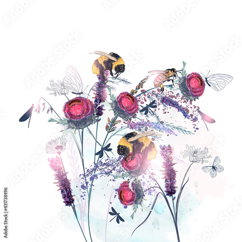 Floral vector illustration with field flowers, bees, butterflies and bumblebee
