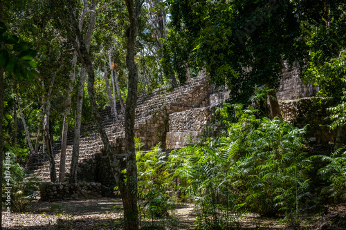 Calakmul pyramid hidden in the jungle. Mayan ruins in Mexico covered with trees. 