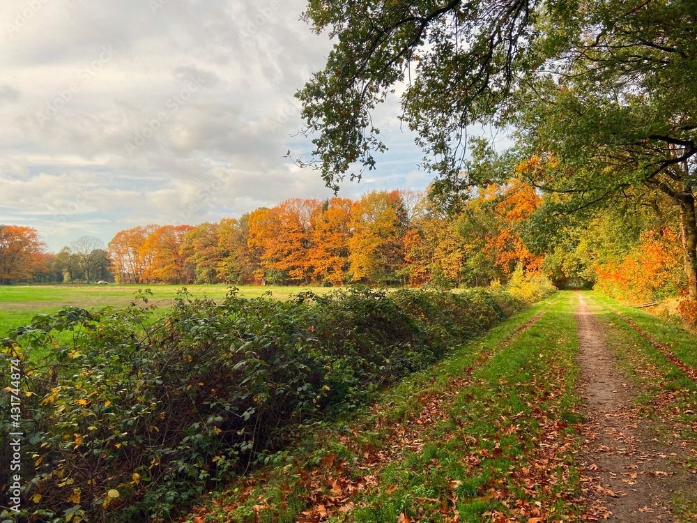 Fototapeta premium landscape08