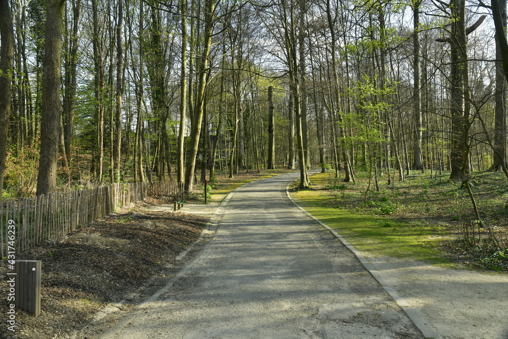 Obraz premium Chemin asphalté au bois du parc St-Vincent à Evere 