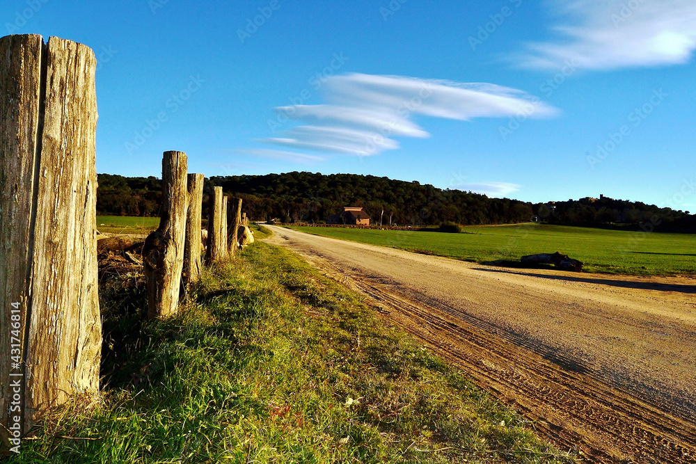 road in a field landscape
