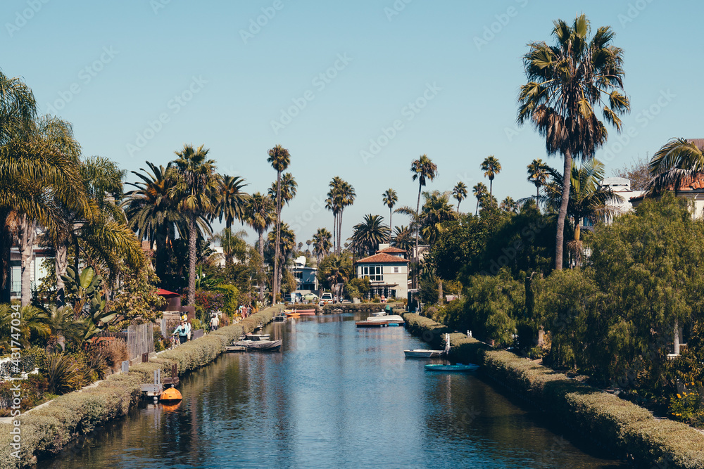 Los Angeles california Venice Chanels palms holiday travel