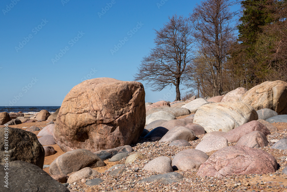 Rocky seashore at the Baltic sea in Liepupe county in spring on a sunny day in Latvia