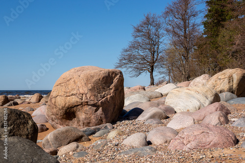 Rocky seashore at the Baltic sea in Liepupe county in spring on a sunny day in Latvia